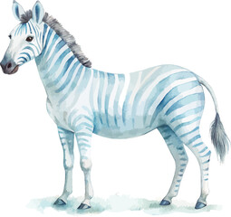 Obraz premium Watercolor Zebra Illustration, Safari Animal Clipart, vector isolated on white background