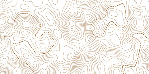 Fototapeta premium Vector banner. Topographic map ,abstract height lines on white background ,vector. Topography background. 