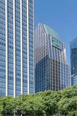 Fototapeta premium glass facades of modern skyscrapers looms over trees on avenida Leandro N. Alem, Buenos Aires, Argentina