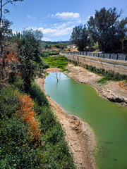 Fototapeta premium Small forest pond with green tinted water and lush reflections