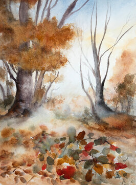 Watercolour painting of forest in autumn