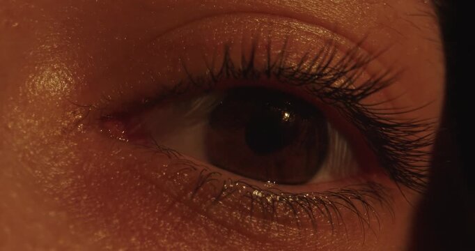 Macro shot of a brown women eye looking in different directions. Concept of optics and vision, eye health, the beauty and media industries, medical dermatology and a natural, eco friendly lifestyle.