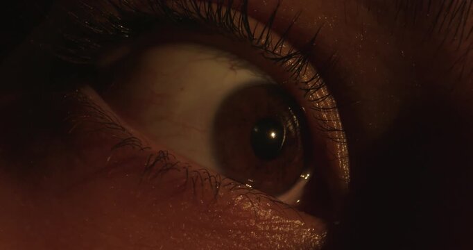 Macro shot of a woman brown eye in red and blue lighting. Concept of optics and vision, eye health, the beauty and media industries, technical and IT innovations, nightlife themes.