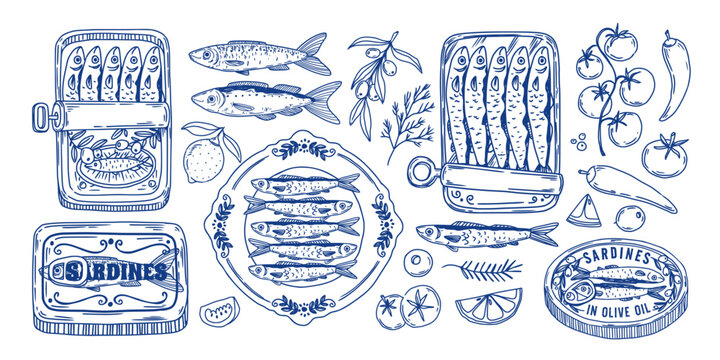 Sardines. Canned fish. Retro hand drawn marine food, Italian seafood, Mediterranean sardines with vegetables, tomato, lemon. Sprats in package, tin, plate. Vector set