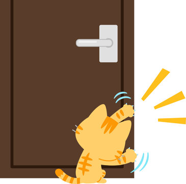 ドアを引っ搔いて開けようとするトラ猫