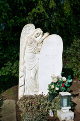 ein großer Egel lehnt an einem Grabstein auf einem Friedhof in Ratingen © Blende8