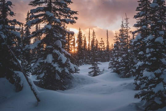 Scenic view of snowy landscape against sky at dusk