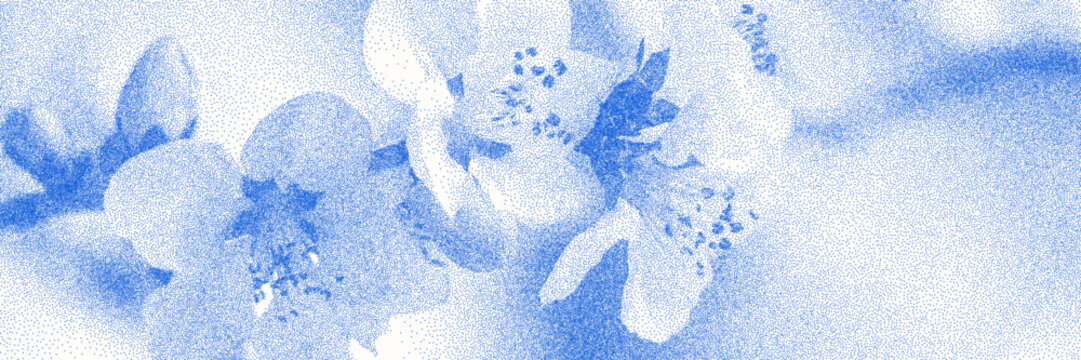 Blue cyanotype apple blossom botanical background. Stipple dot overlay texture with flower and twig silhouette. Delicate indigo blue nature banner for template and graphic design projec