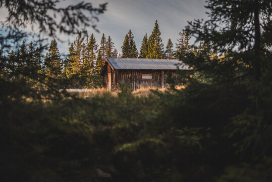 Low angle view of log cabin amidst trees at dusk