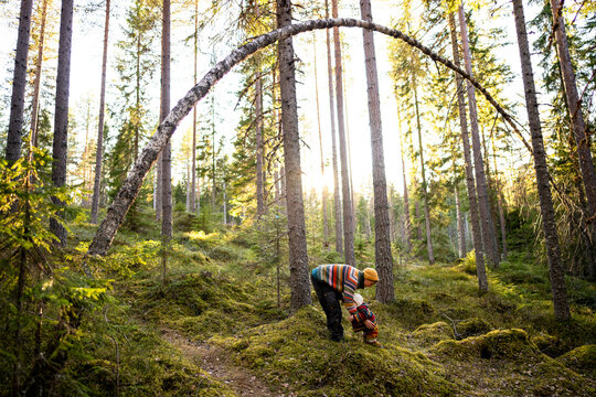 Mother spending leisure time with son in forest on sunny day
