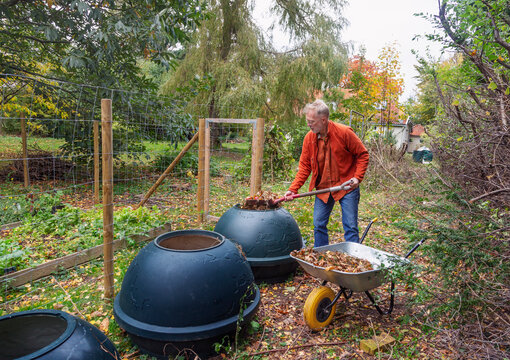 Senior man putting dry leaves in compost bin while working in farm
