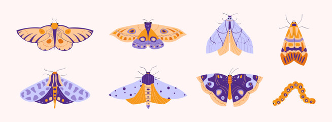 Naklejka premium Set of butterflies, moths and caterpillar. Decorative insect collection with colorful wings, nature wildlife design. Isolated on light background