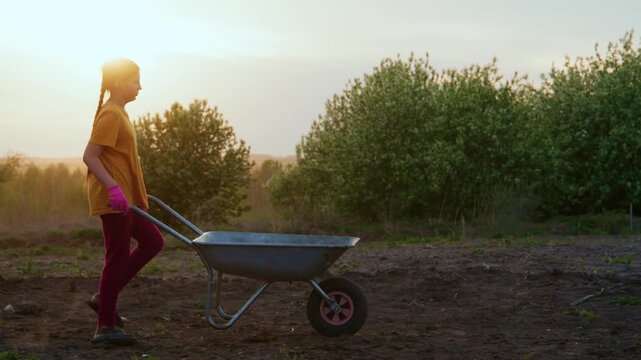 Young girl pushes wheelbarrow across dirt field. She wears yellow shirt and red pants. Sunset casts warm glow over scene. Background has green bushes and open sky