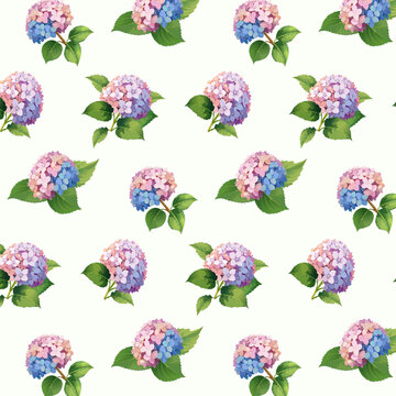 Bouquets of hydrangeas on a light background.Vector seamless pattern of multicolored hydrangeas on a light background.