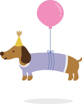 Cute Dachshund Floating with Pink Balloon and Party Hat