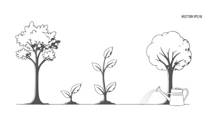 Obraz premium Stages of tree growth from sapling to tree with watering can plant