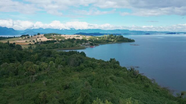 Establishing shot over dense native forest hill revealing sweeping blue lake with golden farmland headland, distant islands and Andean cordillera. Futrono, Chile