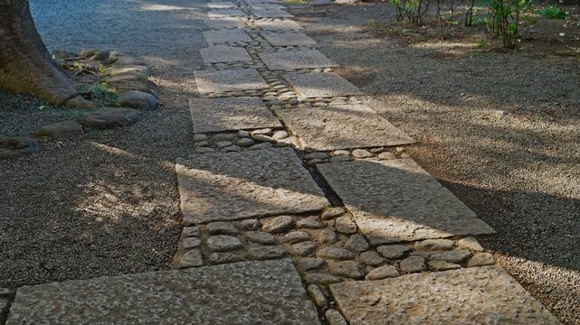 A smooth tilt up from a rustic stone and pebble path to reveal a serene Japanese garden with lush greenery and a large tree in soft sunlight.