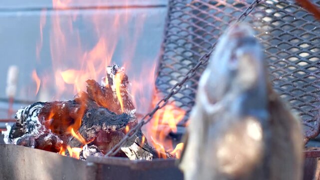 Hot wood fire burning with hanging fish drip drying for outdoor barbecue
