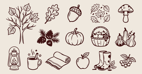 Autumn forest nature doodles, hand drawn fall leaf sketches, cozy seasonal acorn icons, pumpkin harvest farm elements, pinecone and berry stickers, thanksgiving holiday line art, woodland floor botani © Geetaroy