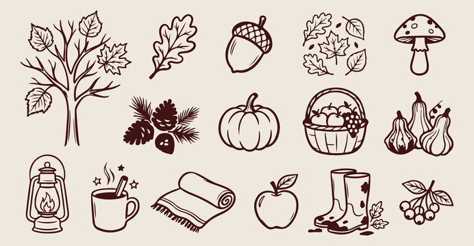 Autumn forest nature doodles, hand drawn fall leaf sketches, cozy seasonal acorn icons, pumpkin harvest farm elements, pinecone and berry stickers, thanksgiving holiday line art, woodland floor botani