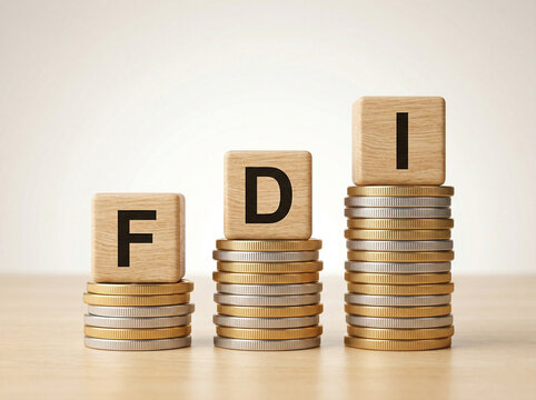 trust based fdi investment concept with alternating coin stacks and wooden cubes clean minimal finance image