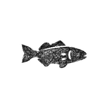 Sketch arctic cod icon design