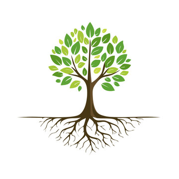 Stylized tree with visible roots and vibrant green leaves on white background