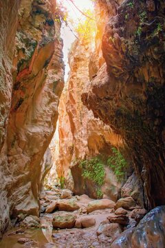 Beautiful scenery of famous rocky Avakas Gorge  -  Paphos, Cyprus Island