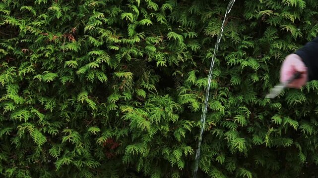 wasser trennen strahl natur