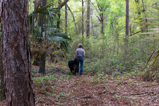 A woman walking her dog in the Ocala forest
