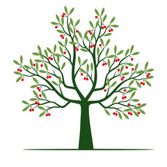 Fototapeta premium Green Tree with red Fruits. Outline Illustration. Plant in Garden.