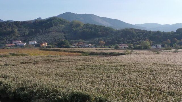 beautiful Lipu Massaciuccoli Oasis in Lucca, Italy