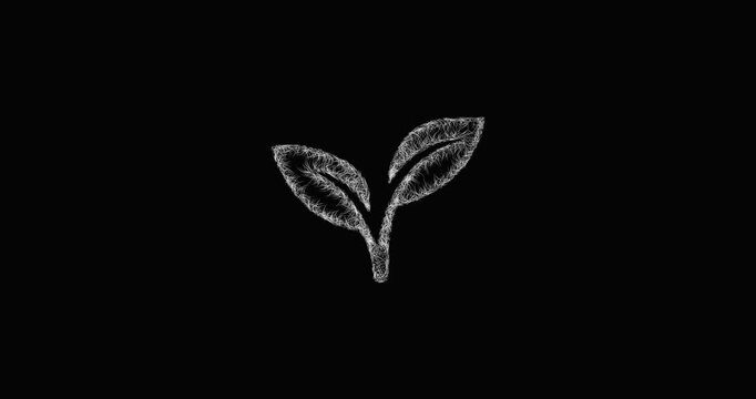 Sketch growth leaf icon animation - smooth progressive reveal