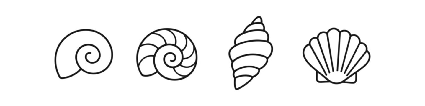 Collection of four distinct seashell and spiral shell line art icons on white background