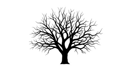 Fototapeta premium A black silhouette of a bare tree with many branches