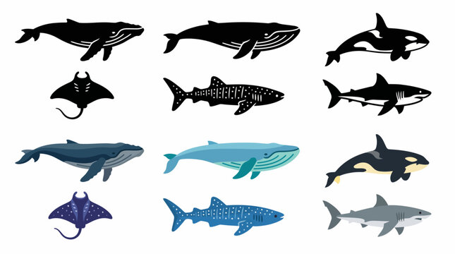 A comprehensive collection of diverse ocean creatures, featuring whales, sharks, orcas, and manta rays in various artistic styles, perfect for marine education and wildlife design projects