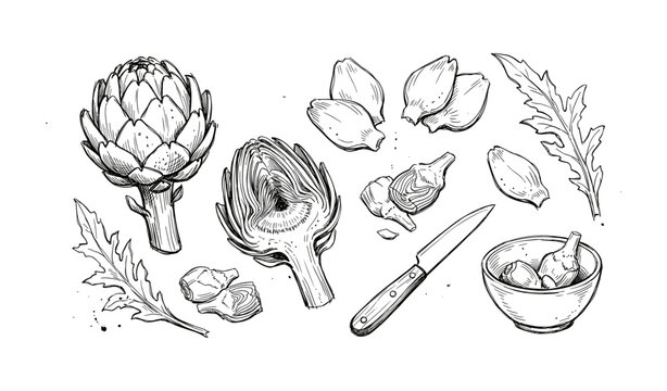 Hand-drawn artichoke sketch with knife and bowl in black and white line art