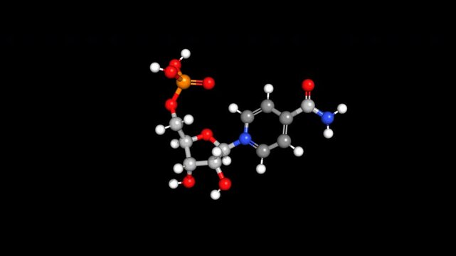 NMN Longevity Anti Aging 3D Animation Rotating Molecular Structure Seamless Loop Alpha Transparent Background 4K Scientific Medical Concept