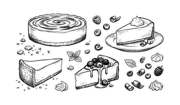 Assorted cheesecake illustrations with berries and whipped cream details