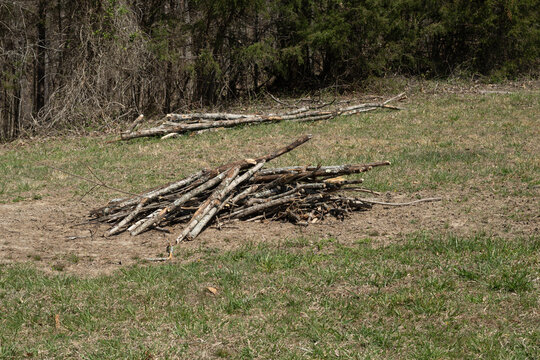 A brush pile near a wooded area in a grassy field.