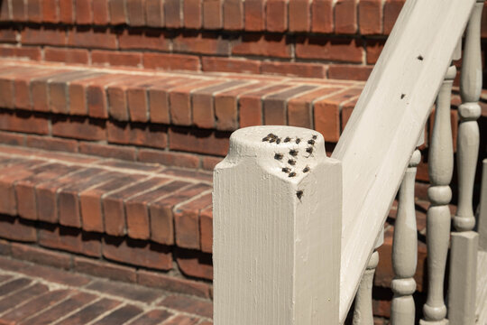 A cluster of house flies wreak havoc on a porch post of an old house.