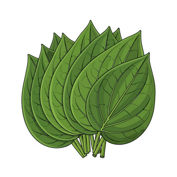 Betel Leaves A symbol for Sinhala and Tamil New Year, Sri Lankan culture, and Avurudu. Use for Kavili, Kiribath themes with Background Copy Space
