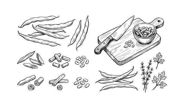 Hand-drawn kitchen scene with green beans and herbs on cutting board