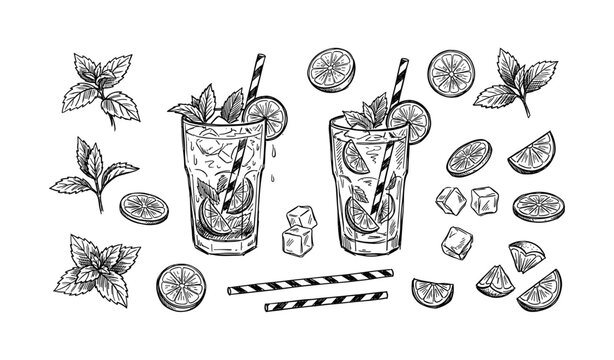 Hand-drawn mojito ingredients with glasses of lime and mint