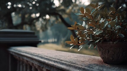 Naklejka premium A green potted plant rests on a weathered stone balustrade overlooking a serene softly blurred garden vista