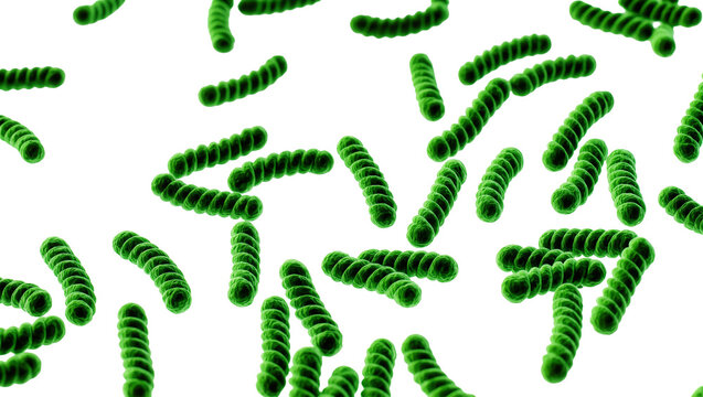 Isolated vibrant green spiral-shaped bacterial colonies or segmented microorganisms in chains