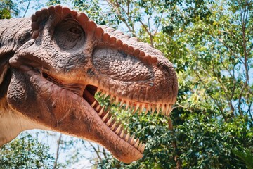 Obraz premium Tyrannosaurus dinosaur head closeup open jaws teeth in sunlit forest with detailed scales textured snout and lifelike reptile features