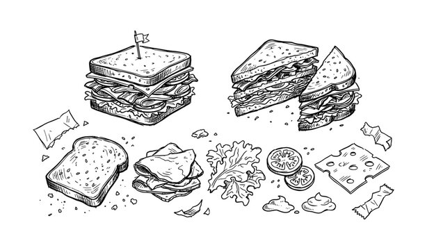 Hand-drawn sandwich sketch with ingredients: bread, lettuce, tomatoes, cheese, meat