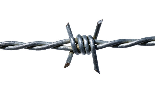 Isolated Gray galvanized barbed wire strand with sharp metal barbs for security concept.